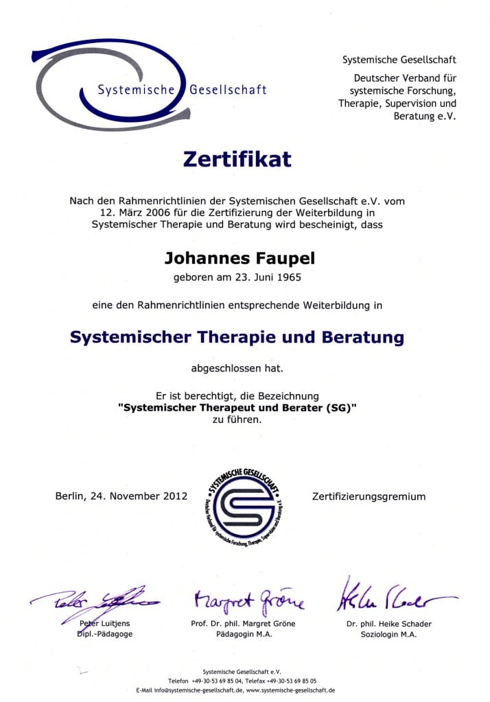 Systemische Gesellschaft SG Zertifikat Johannes Faupel